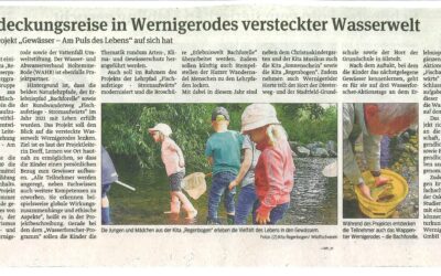 Auf Entdeckungsreise in Wernigerodes versteckter Wasserwelt